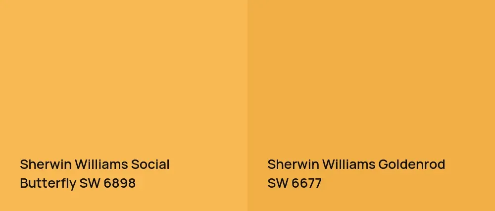 Sherwin Williams Social Butterfly SW 6898 vs Sherwin Williams Goldenrod SW 6677