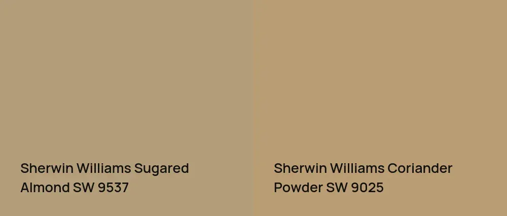 Sherwin Williams Sugared Almond SW 9537 vs Sherwin Williams Coriander Powder SW 9025