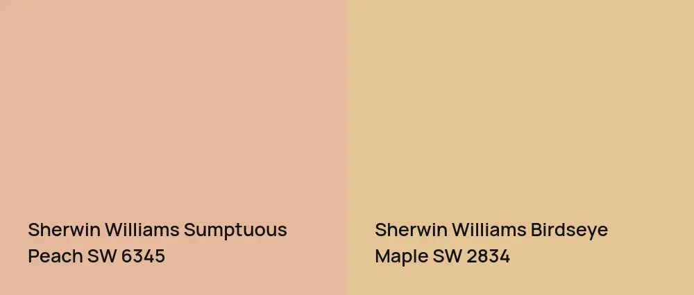Sherwin Williams Sumptuous Peach SW 6345 vs Sherwin Williams Birdseye Maple SW 2834