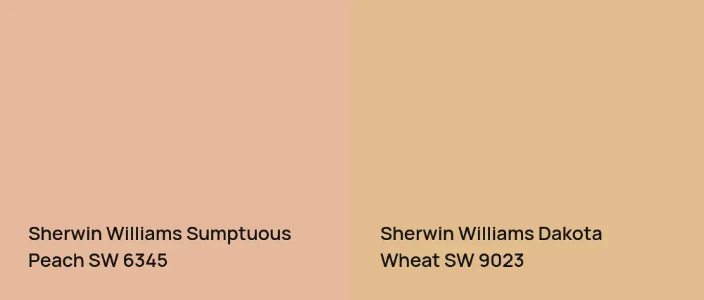 Sherwin Williams Sumptuous Peach SW 6345 vs Sherwin Williams Dakota Wheat SW 9023