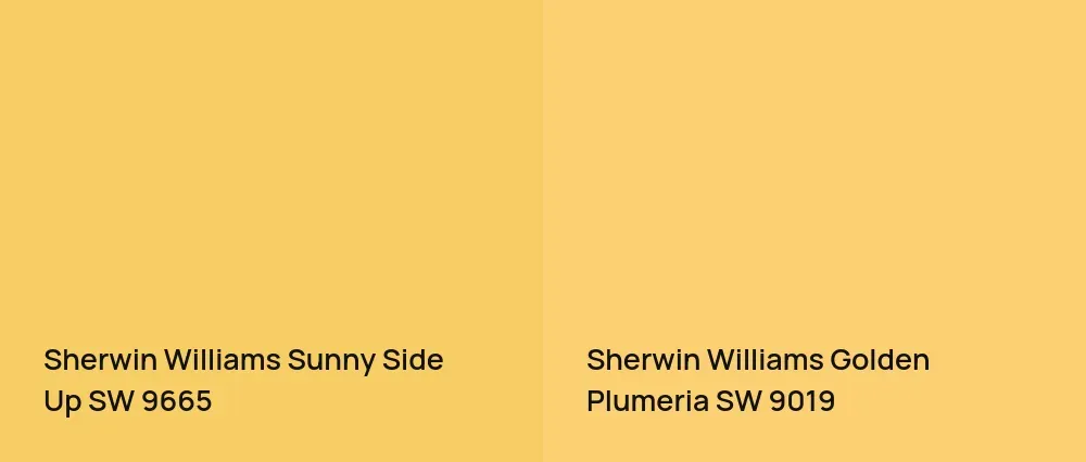 Sherwin Williams Sunny Side Up SW 9665 vs Sherwin Williams Golden Plumeria SW 9019