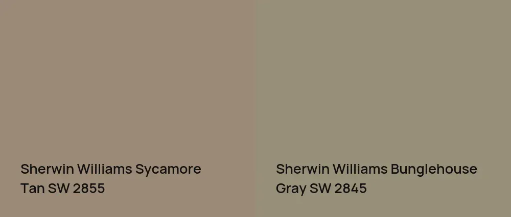 Sherwin Williams Sycamore Tan SW 2855 vs Sherwin Williams Bunglehouse Gray SW 2845
