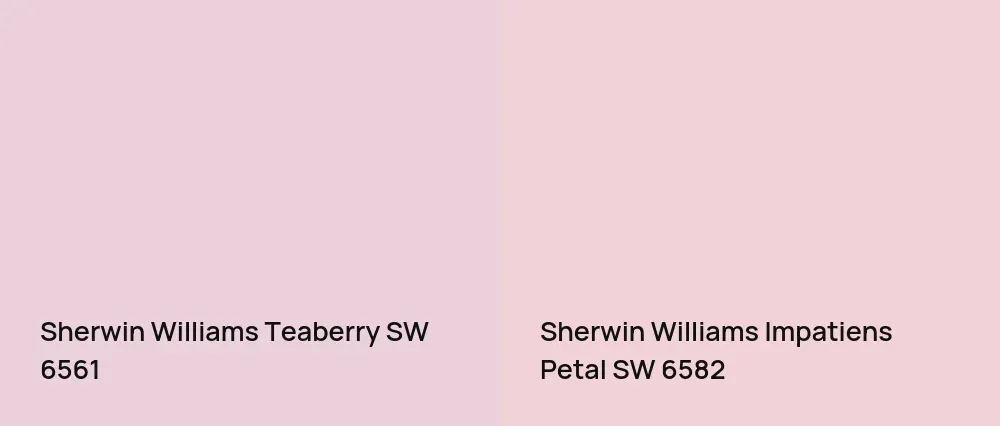 Sherwin Williams Teaberry SW 6561 vs Sherwin Williams Impatiens Petal SW 6582