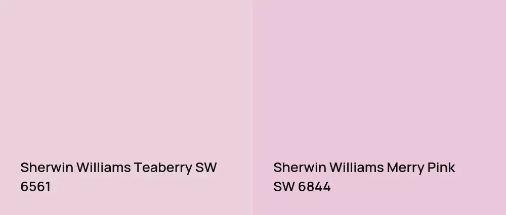Sherwin Williams Teaberry SW 6561 vs Sherwin Williams Merry Pink SW 6844