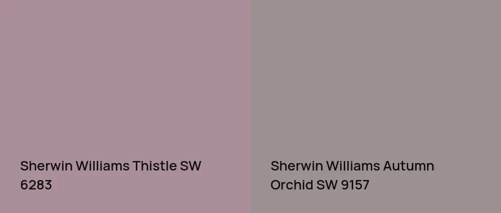 Sherwin Williams Thistle SW 6283 vs Sherwin Williams Autumn Orchid SW 9157