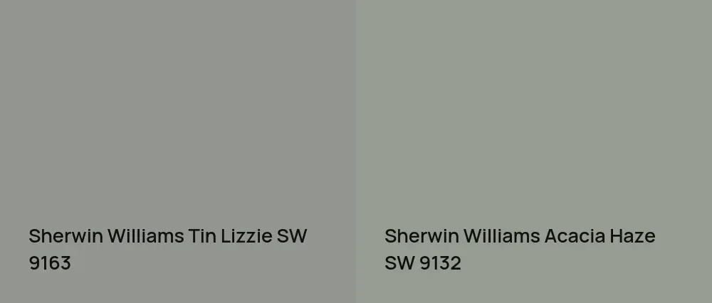 Sherwin Williams Tin Lizzie SW 9163 vs Sherwin Williams Acacia Haze SW 9132