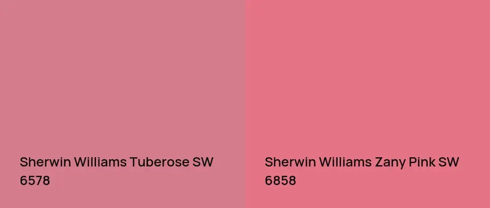 Sherwin Williams Tuberose SW 6578 vs Sherwin Williams Zany Pink SW 6858