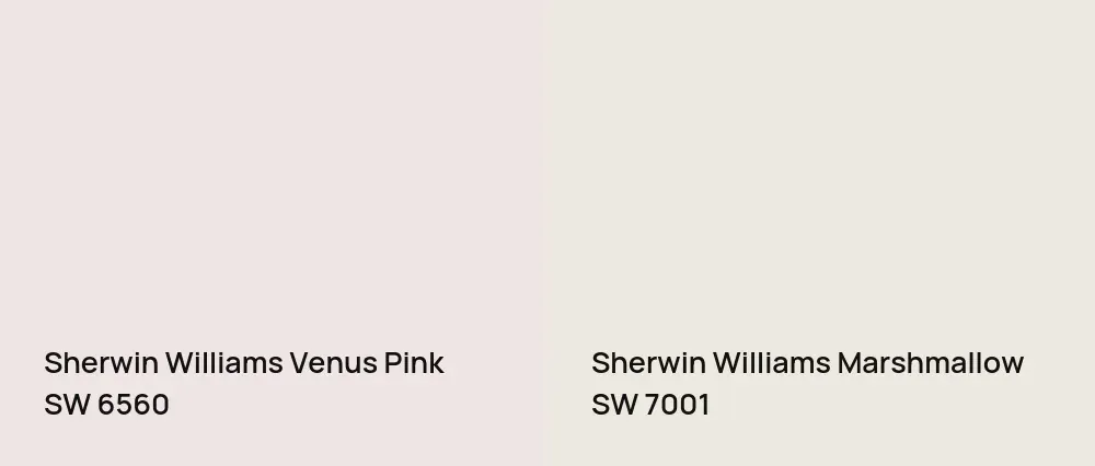 Sherwin Williams Venus Pink SW 6560 vs Sherwin Williams Marshmallow SW 7001