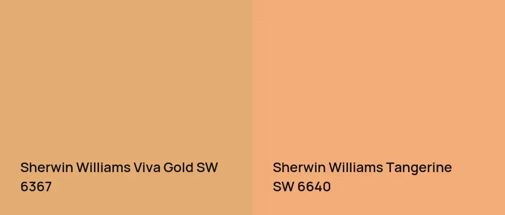 Sherwin Williams Viva Gold SW 6367 vs Sherwin Williams Tangerine SW 6640