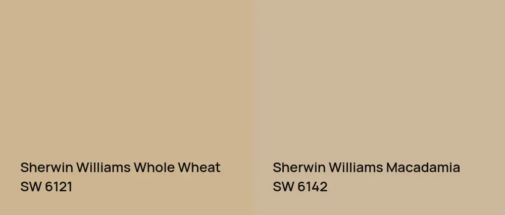 Sherwin Williams Whole Wheat SW 6121 vs Sherwin Williams Macadamia SW 6142