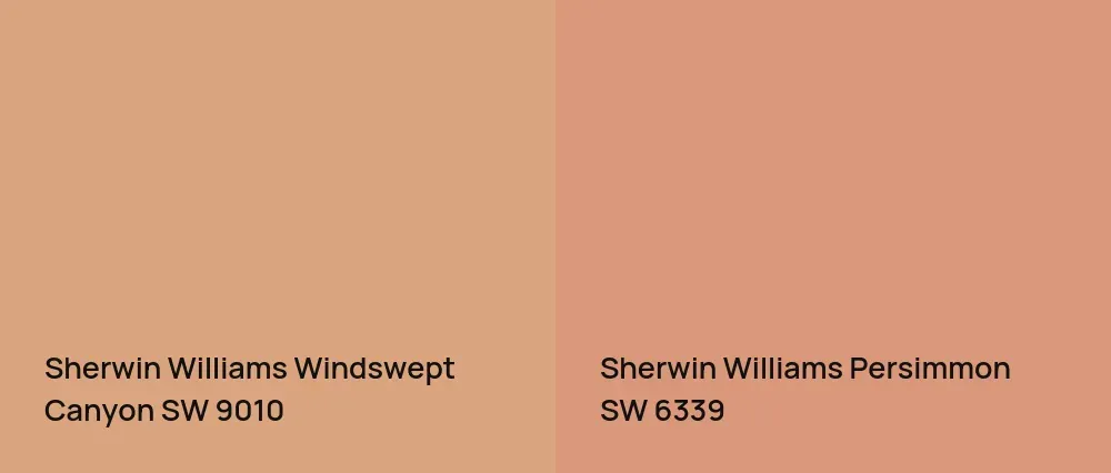Sherwin Williams Windswept Canyon SW 9010 vs Sherwin Williams Persimmon SW 6339