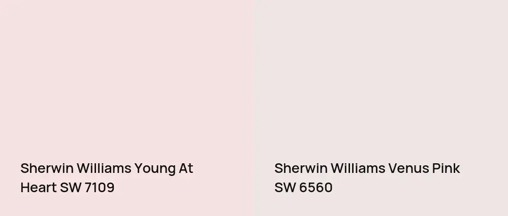 Sherwin Williams Young At Heart SW 7109 vs Sherwin Williams Venus Pink SW 6560
