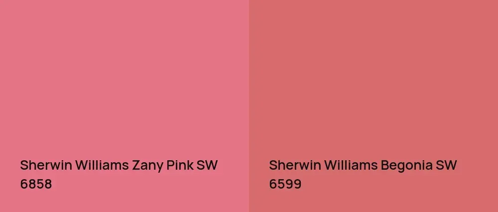 Sherwin Williams Zany Pink SW 6858 vs Sherwin Williams Begonia SW 6599