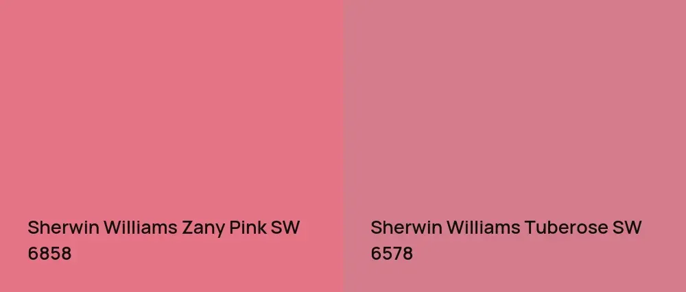 Sherwin Williams Zany Pink SW 6858 vs Sherwin Williams Tuberose SW 6578