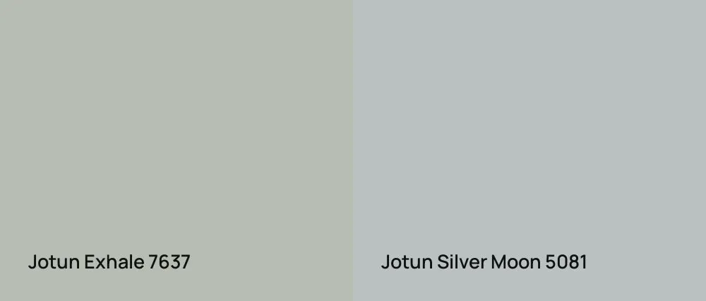 Jotun Exhale 7637 vs Jotun Silver Moon 5081