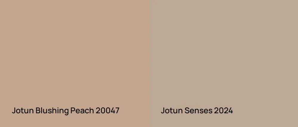 Jotun Blushing Peach 20047 vs Jotun Senses 2024