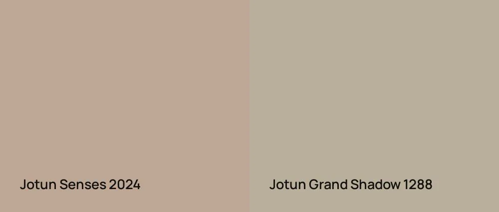 Jotun Senses 2024 vs Jotun Grand Shadow 1288