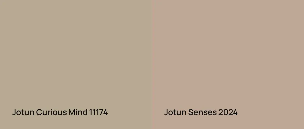Jotun Curious Mind 11174 vs Jotun Senses 2024