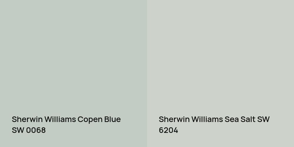 Sherwin Williams Copen Blue vs. Sherwin Williams Sea Salt