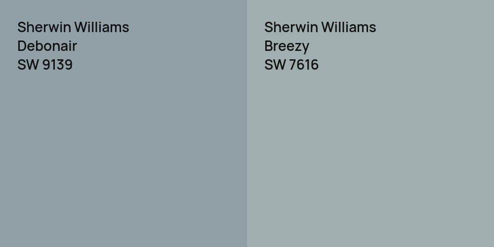 Sherwin Williams Debonair vs. Sherwin Williams Breezy