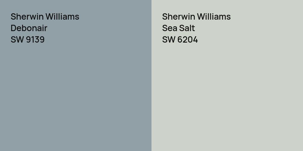 Sherwin Williams Debonair vs. Sherwin Williams Sea Salt