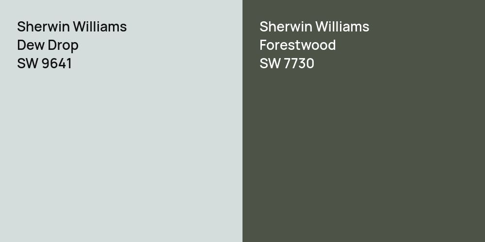 Sherwin Williams Dew Drop vs. Sherwin Williams Forestwood