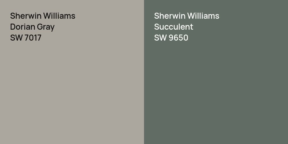 Sherwin Williams Dorian Gray vs. Sherwin Williams Succulent