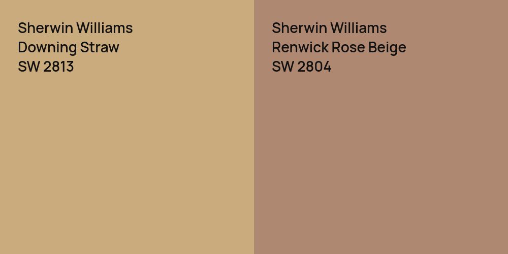 Sherwin Williams Downing Straw vs. Sherwin Williams Renwick Rose Beige