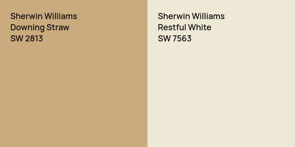 Sherwin Williams Downing Straw vs. Sherwin Williams Restful White