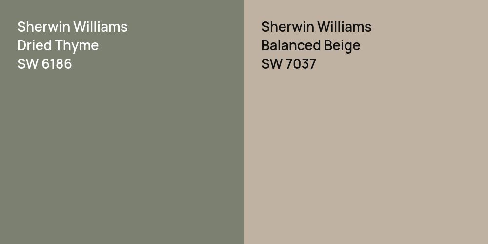 Sherwin Williams Dried Thyme vs. Sherwin Williams Balanced Beige