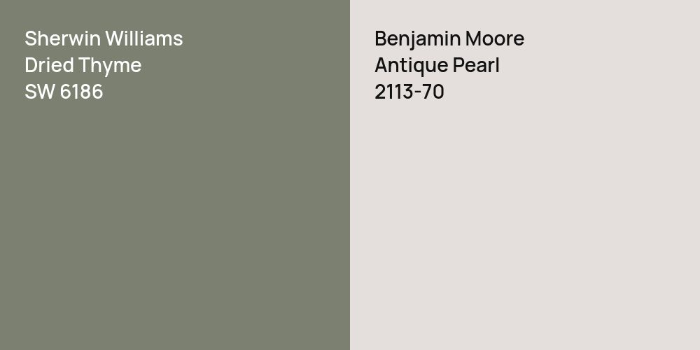 Sherwin Williams Dried Thyme vs. Benjamin Moore Antique Pearl