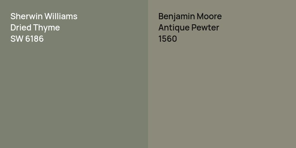 Sherwin Williams Dried Thyme vs. Benjamin Moore Antique Pewter