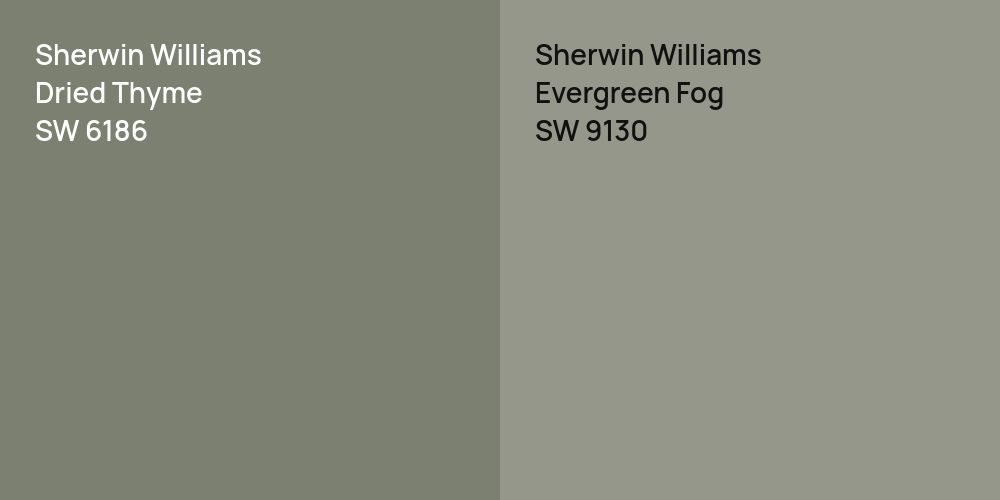 Sherwin Williams Dried Thyme vs. Sherwin Williams Evergreen Fog