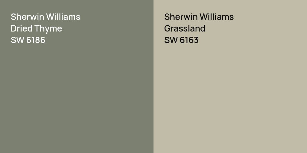 Sherwin Williams Dried Thyme vs. Sherwin Williams Grassland