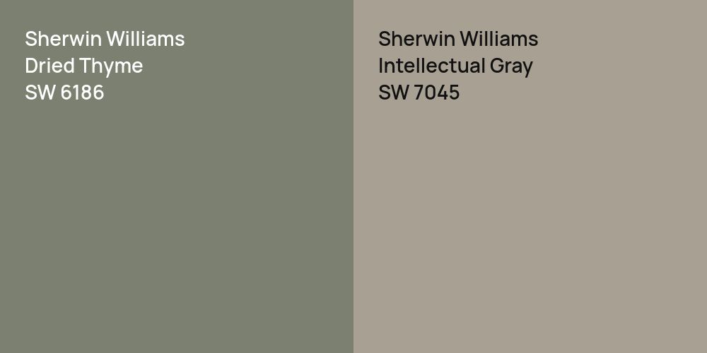 Sherwin Williams Dried Thyme vs. Sherwin Williams Intellectual Gray