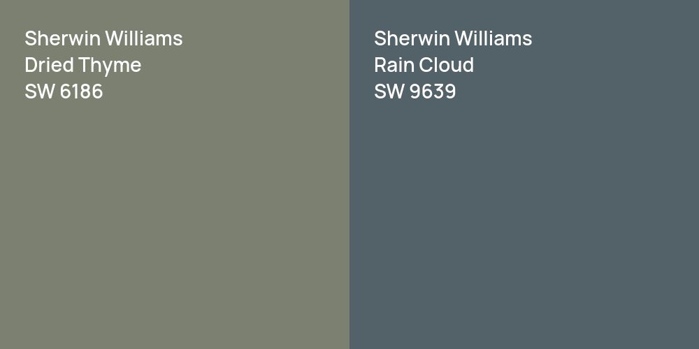 Sherwin Williams Dried Thyme vs. Sherwin Williams Rain Cloud