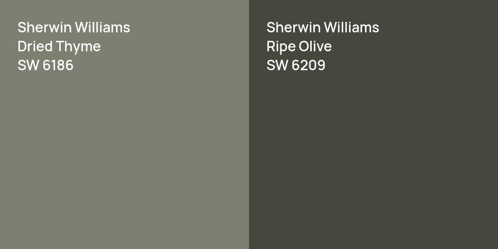 Sherwin Williams Dried Thyme vs. Sherwin Williams Ripe Olive