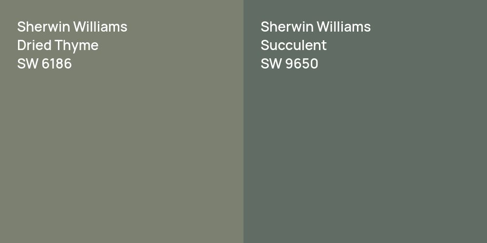 Sherwin Williams Dried Thyme vs. Sherwin Williams Succulent