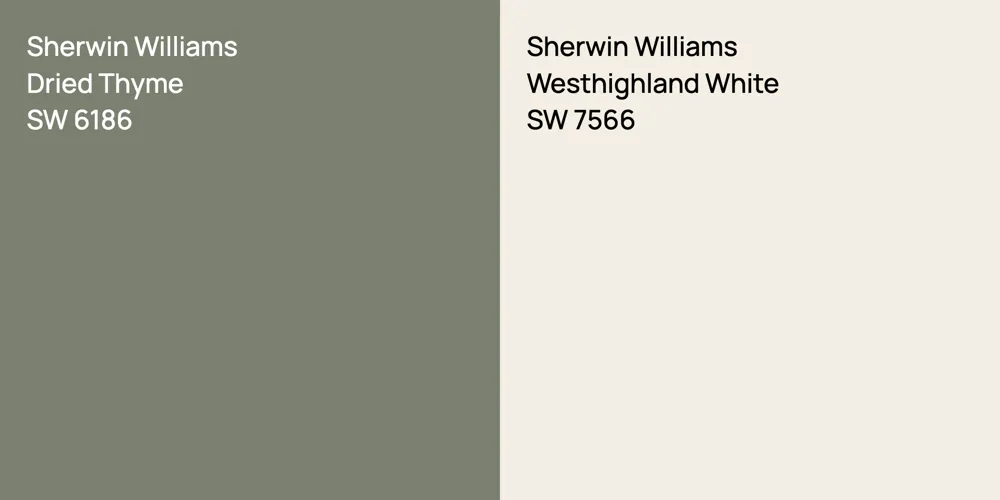 Sherwin Williams Dried Thyme vs. Sherwin Williams Westhighland White