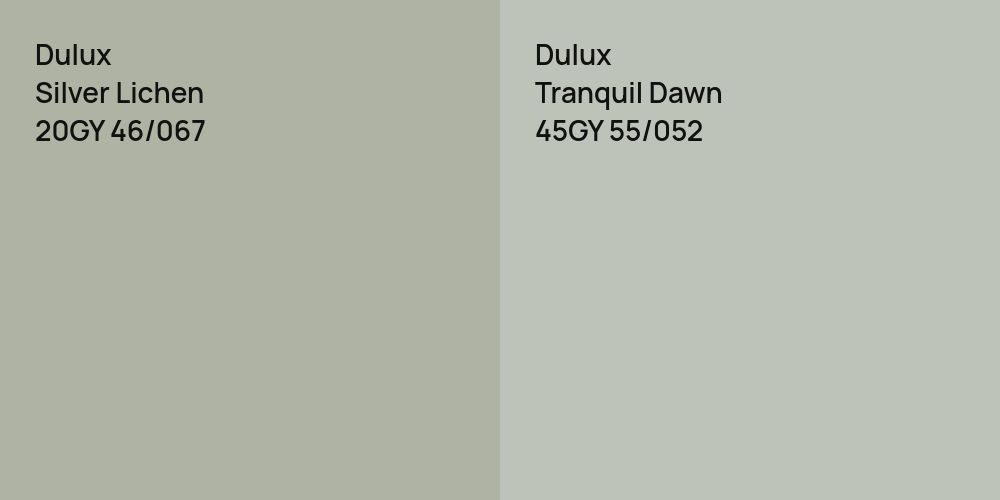 Dulux Silver Lichen vs. Dulux Tranquil Dawn