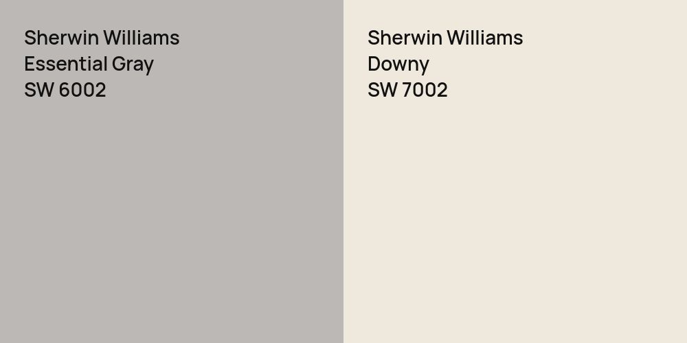 Sherwin Williams Essential Gray vs. Sherwin Williams Downy