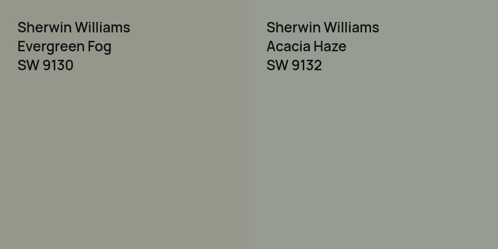 Sherwin Williams Evergreen Fog vs. Sherwin Williams Acacia Haze