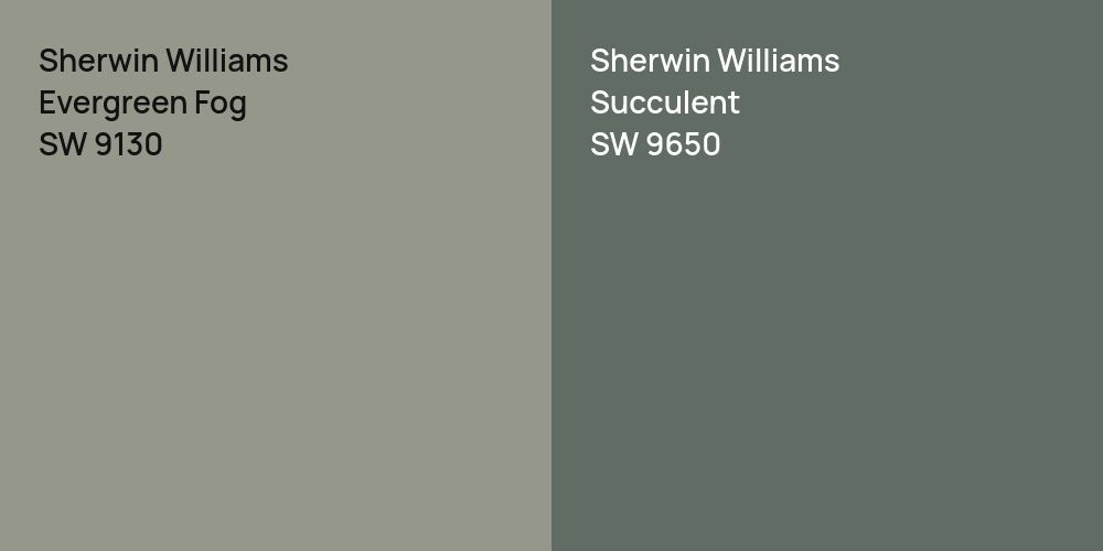 Sherwin Williams Evergreen Fog vs. Sherwin Williams Succulent