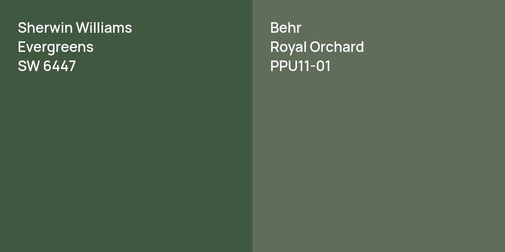 Sherwin Williams Evergreens vs. Behr Royal Orchard