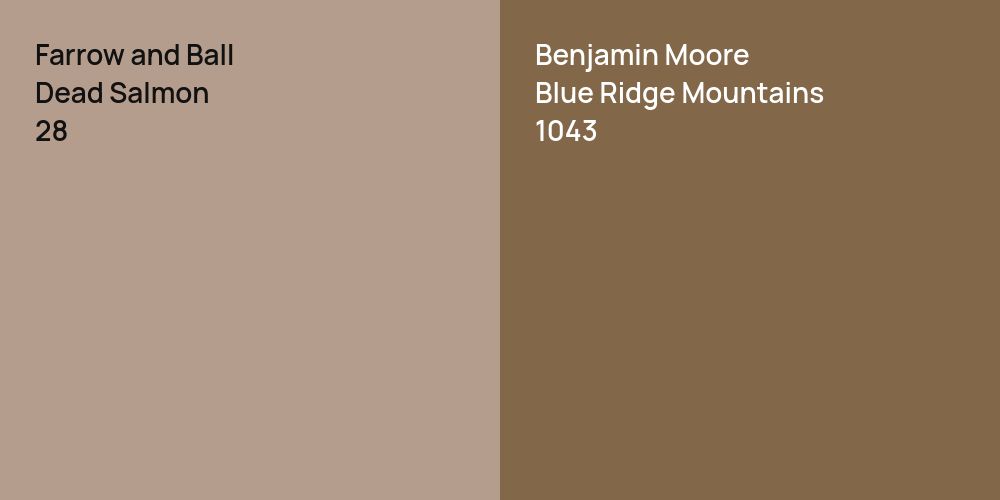 Farrow and Ball Dead Salmon vs. Benjamin Moore Blue Ridge Mountains