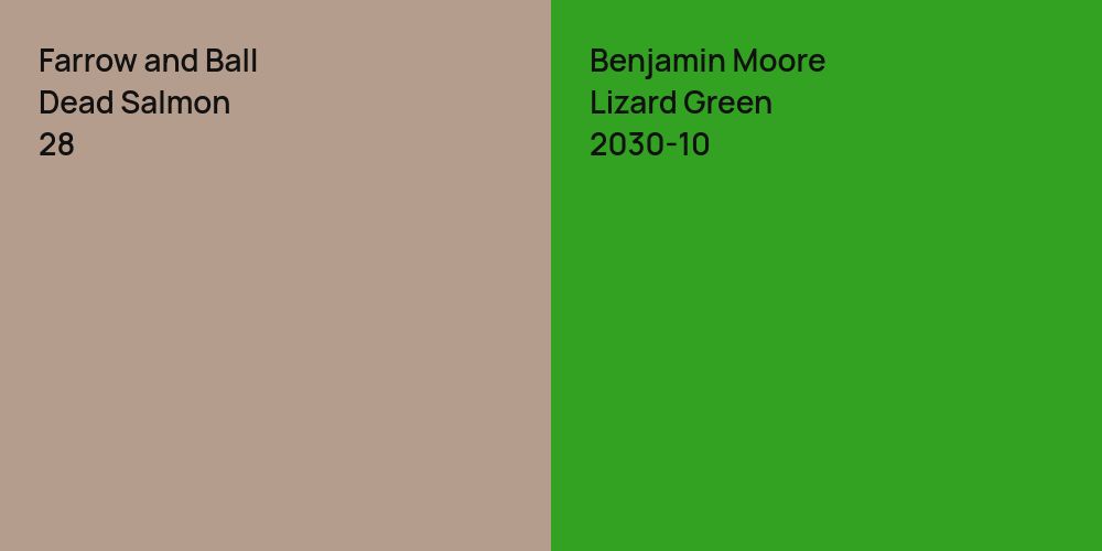 Farrow and Ball Dead Salmon vs. Benjamin Moore Lizard Green