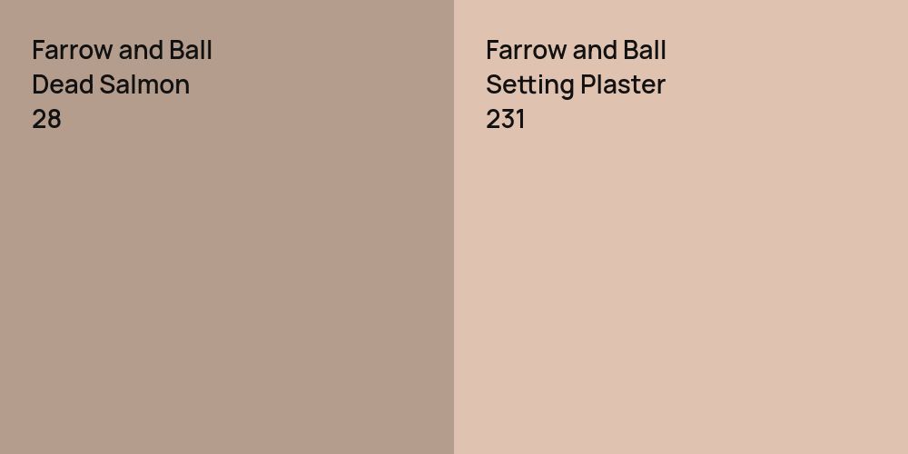 Farrow and Ball Dead Salmon vs. Farrow and Ball Setting Plaster