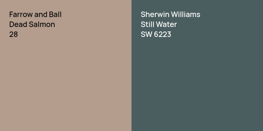 Farrow and Ball Dead Salmon vs. Sherwin Williams Still Water