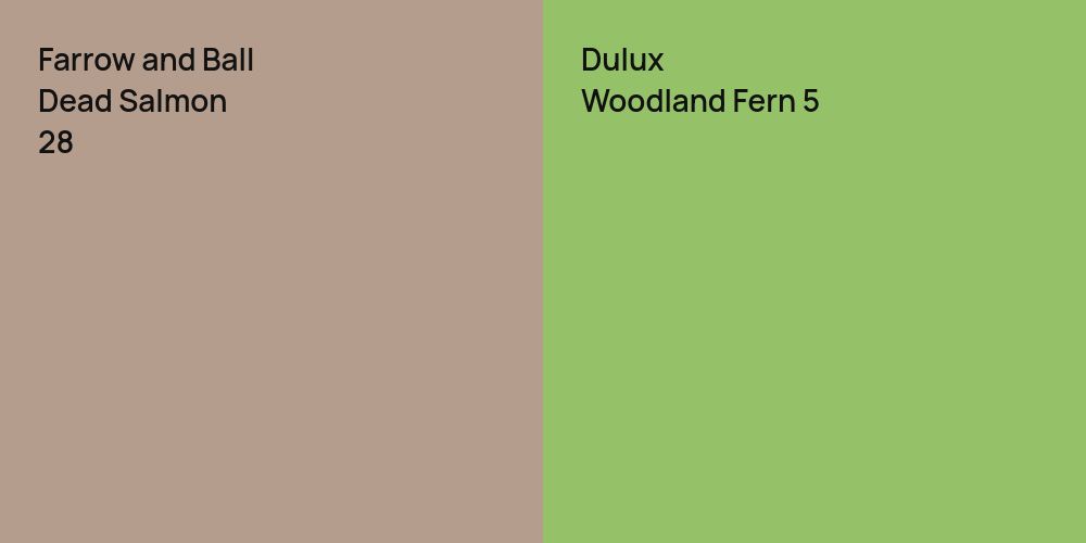 Farrow and Ball Dead Salmon vs. Dulux Woodland Fern 5