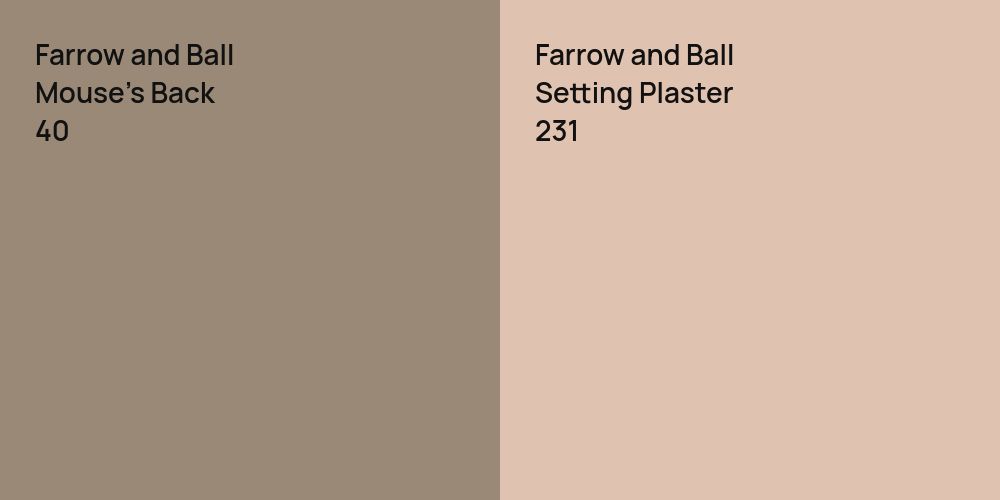 Farrow and Ball Mouse's Back vs. Farrow and Ball Setting Plaster